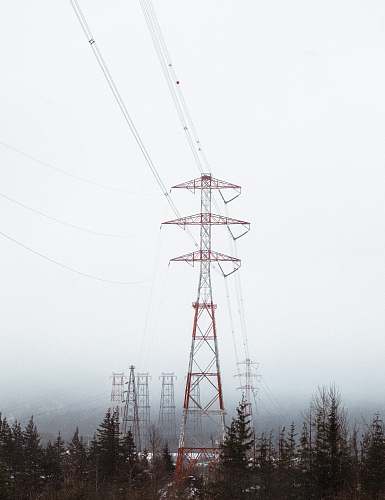 power lines red electric tower surrounded by trees trees